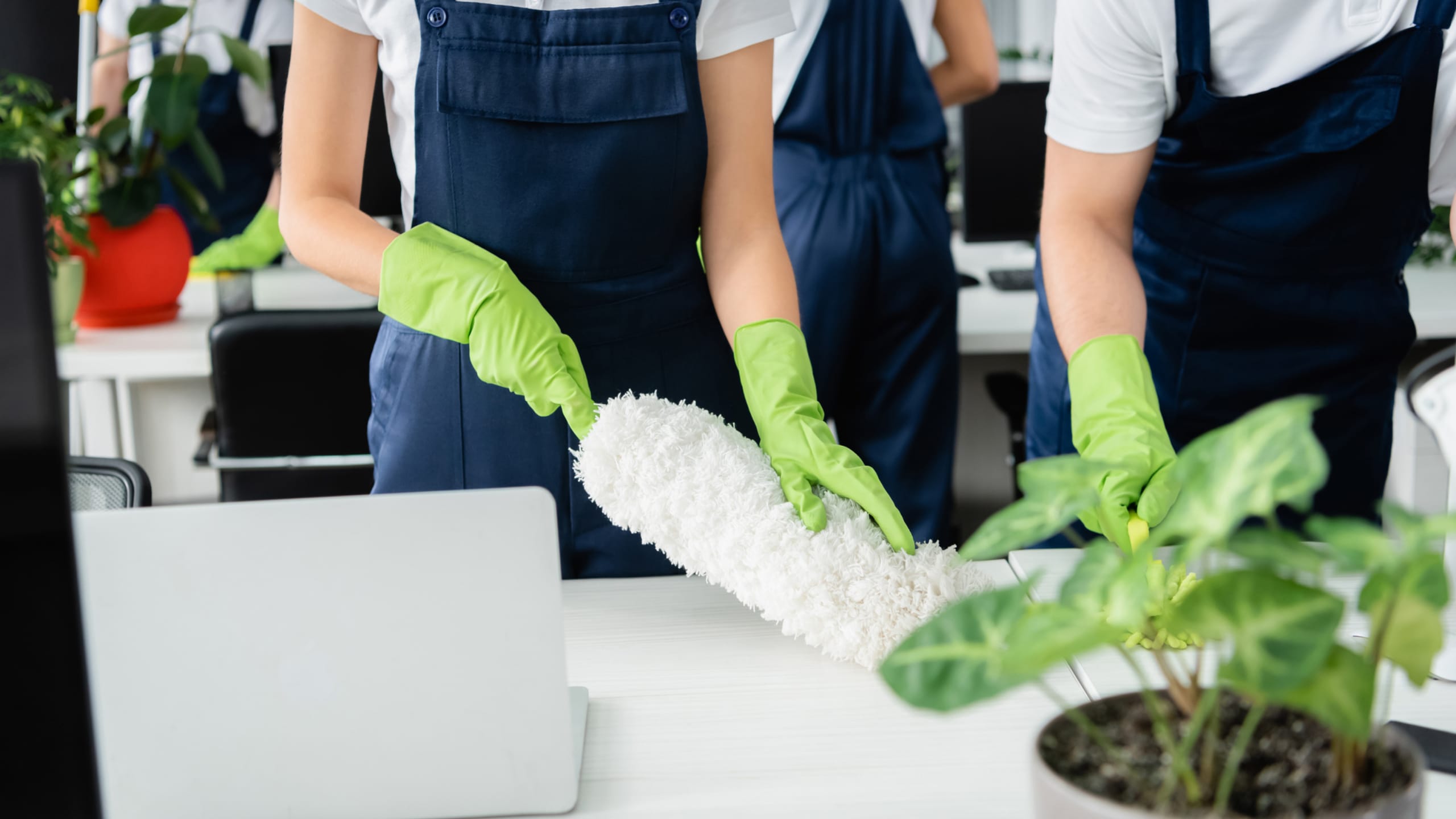 What Does an Expert Team of Office Cleaners in Melbourne Offer? 
