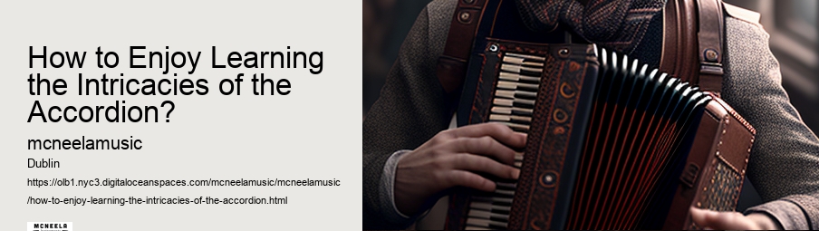 How to Enjoy Learning the Intricacies of the Accordion?