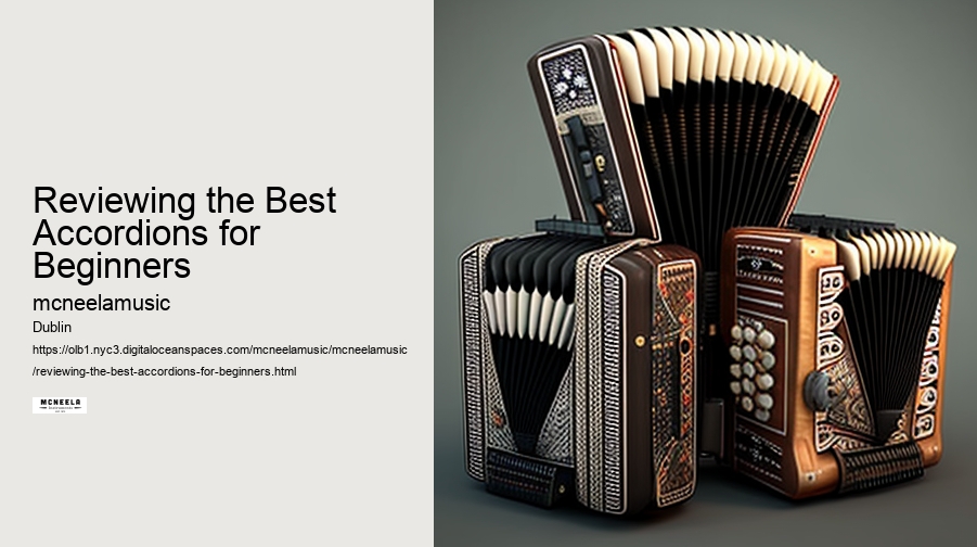 Reviewing the Best Accordions for Beginners