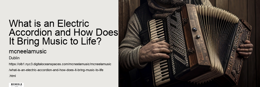 What is an Electric Accordion and How Does It Bring Music to Life?