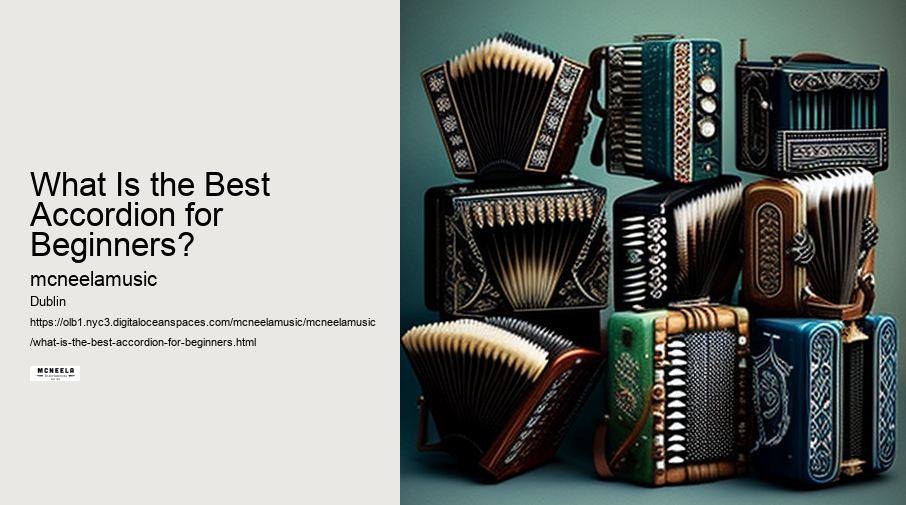 What Is the Best Accordion for Beginners?