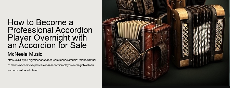 How to Become a Professional Accordion Player Overnight with an Accordion for Sale 