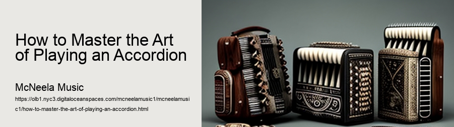 How to Master the Art of Accordion Playing with This Amazing Accordion for Sale!