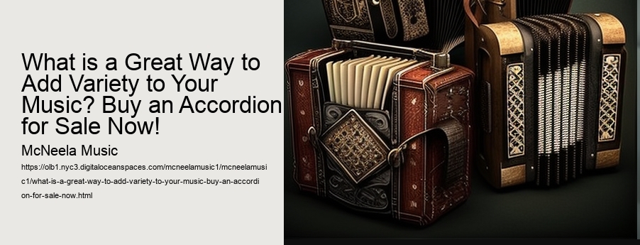 What is a Great Way to Add Variety to Your Music? Buy an Accordion for Sale Now! 