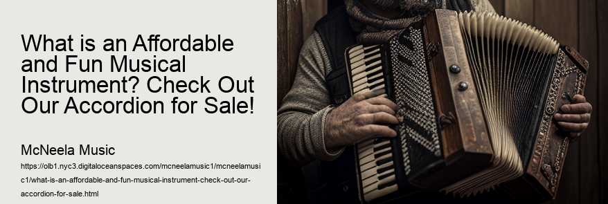 What is an Affordable and Fun Musical Instrument? Check Out Our Accordion for Sale! 