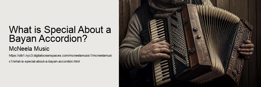 What is Special About a Bayan Accordion? 