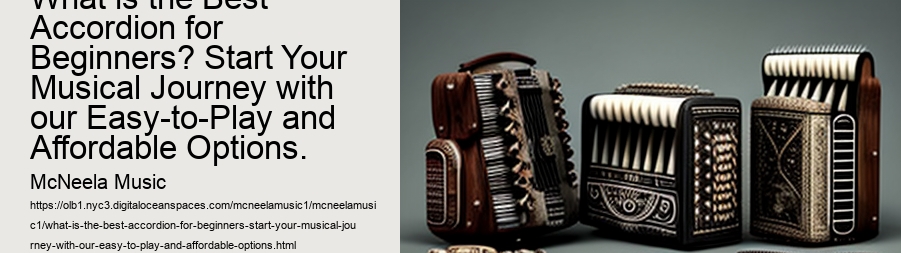 What is the Best Accordion for Beginners? Start Your Musical Journey with our Easy-to-Play and Affordable Options.