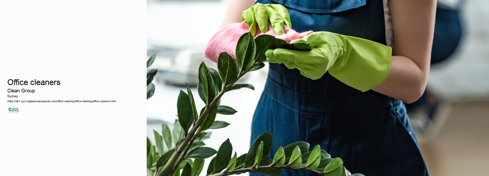 Office cleaners