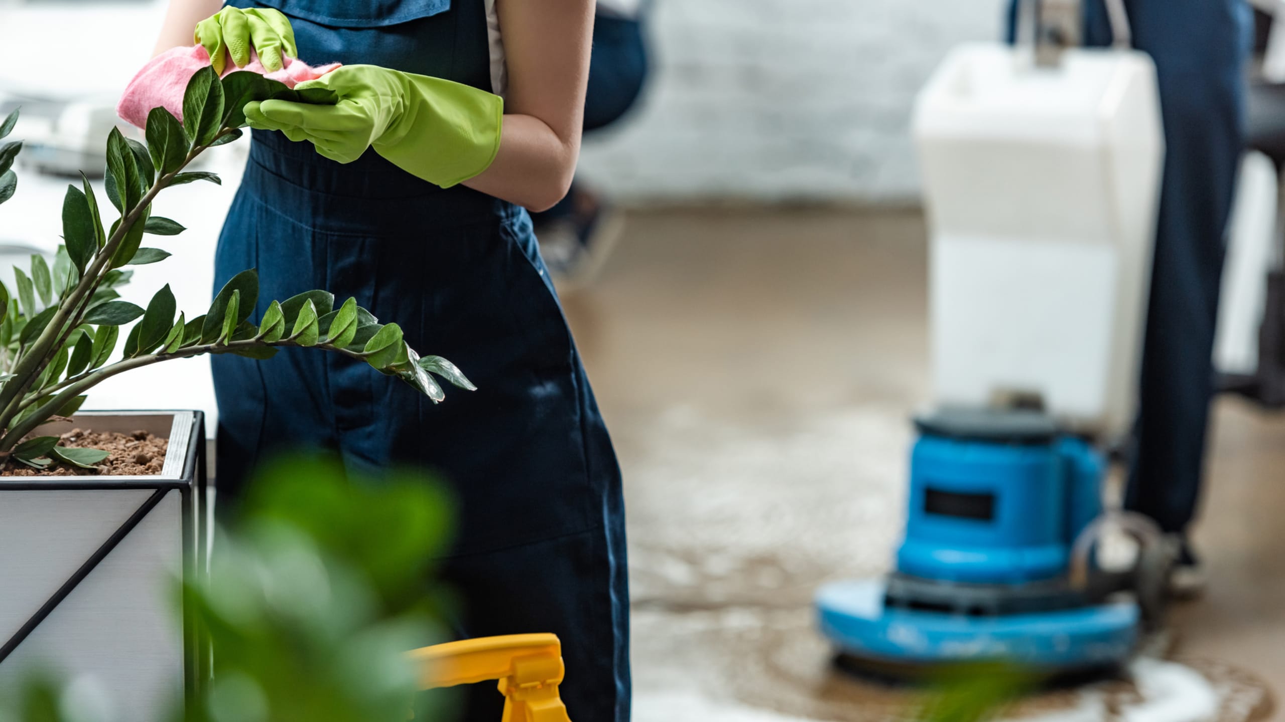 How to Keep Your Office Spotless Without Breaking the Bank 