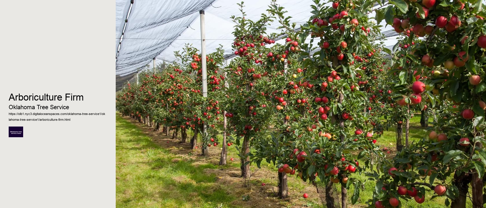 Arboriculture Firm