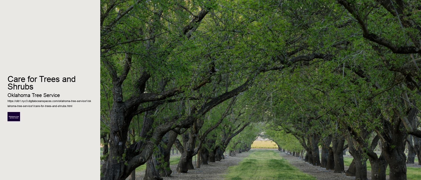 Care for Trees and Shrubs