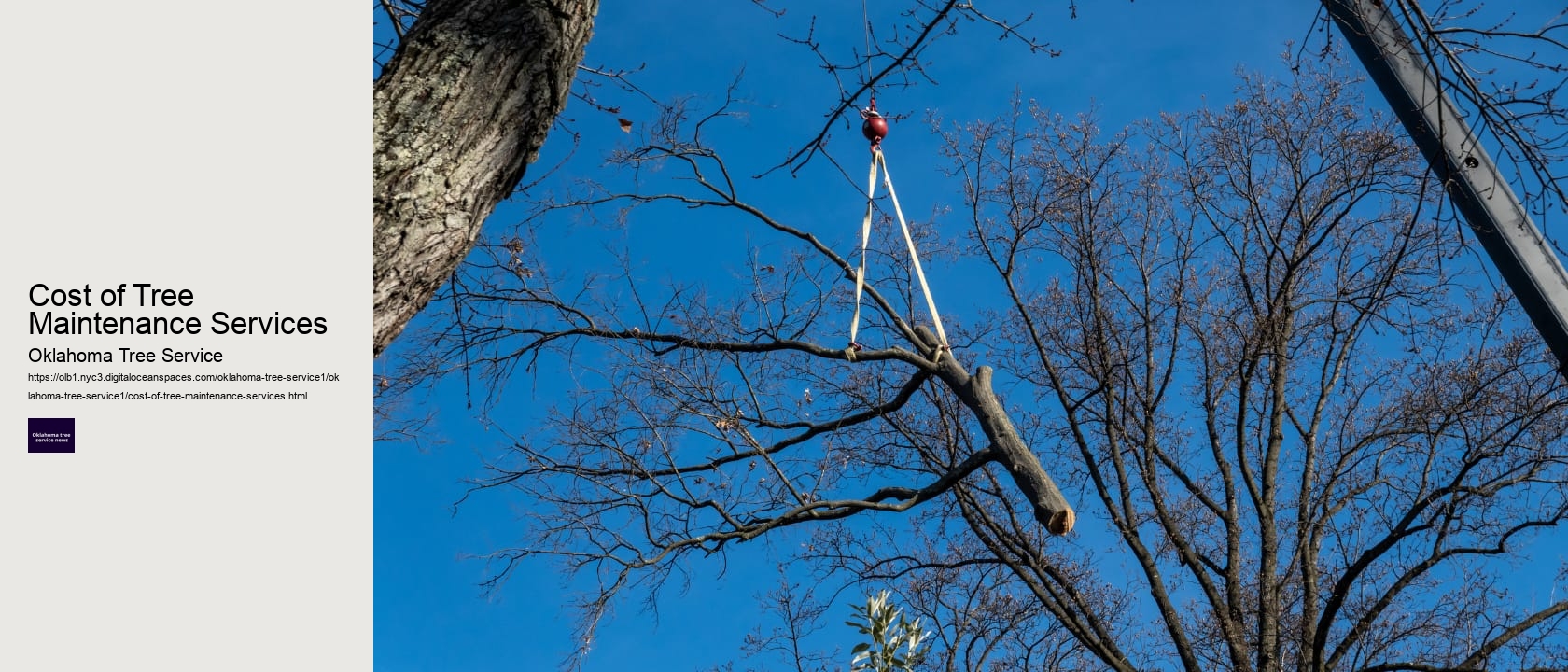 Cost of Tree Maintenance Services