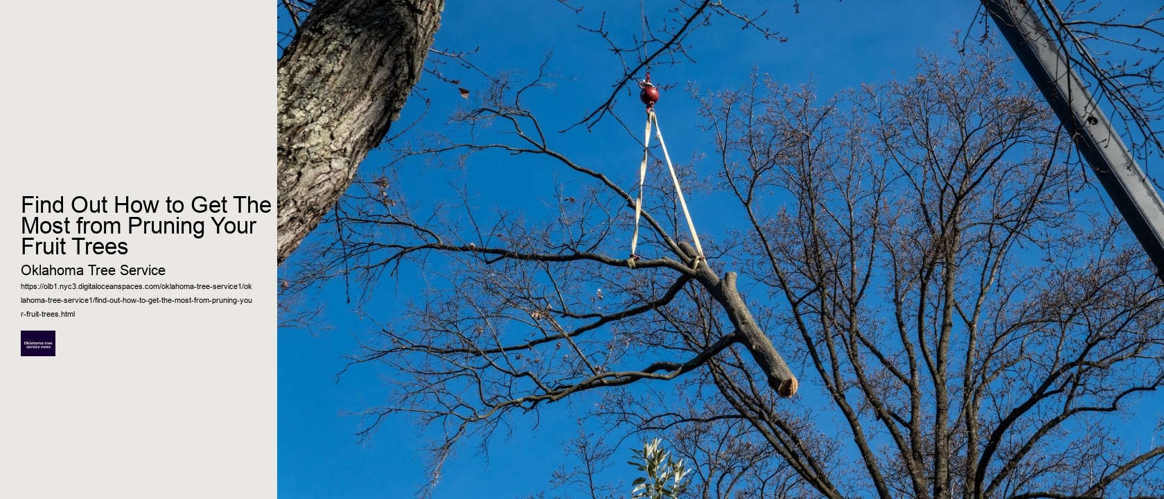 Find Out How to Get The Most from Pruning Your Fruit Trees 