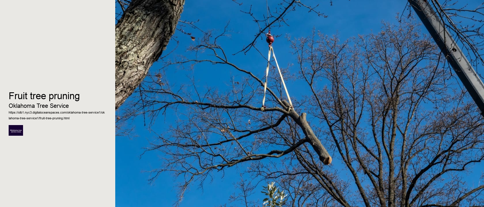 Fruit tree pruning