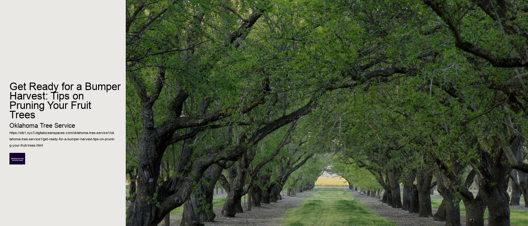 Get Ready for a Bumper Harvest: Tips on Pruning Your Fruit Trees