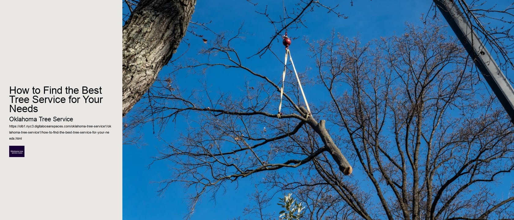 How to Find the Best Tree Service for Your Needs 