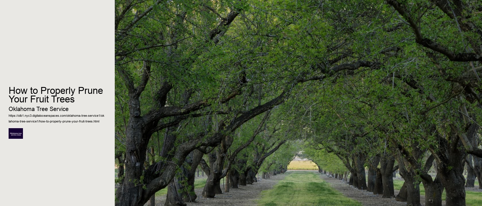 How to Properly Prune Your Fruit Trees 