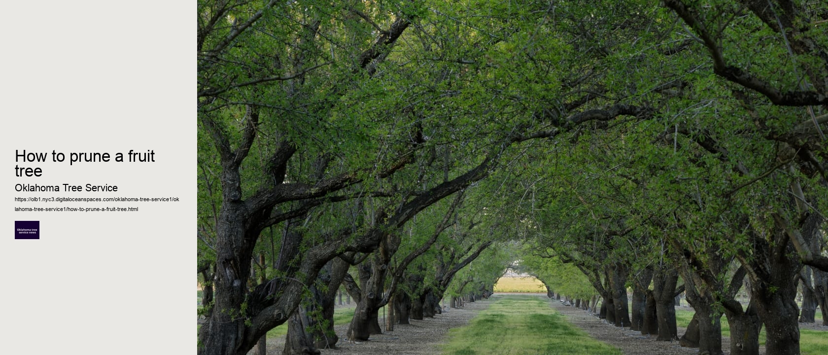 How to prune a fruit tree