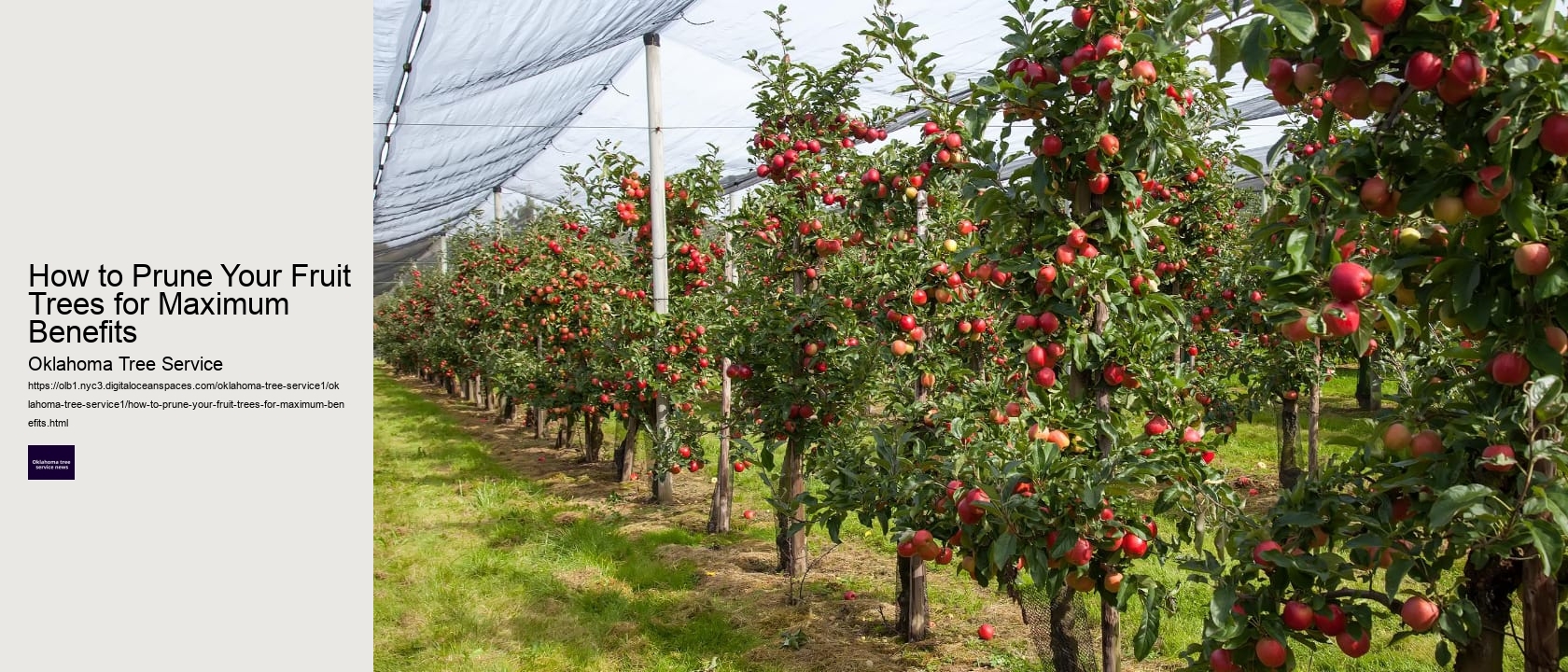 How to Prune Your Fruit Trees for Maximum Benefits 