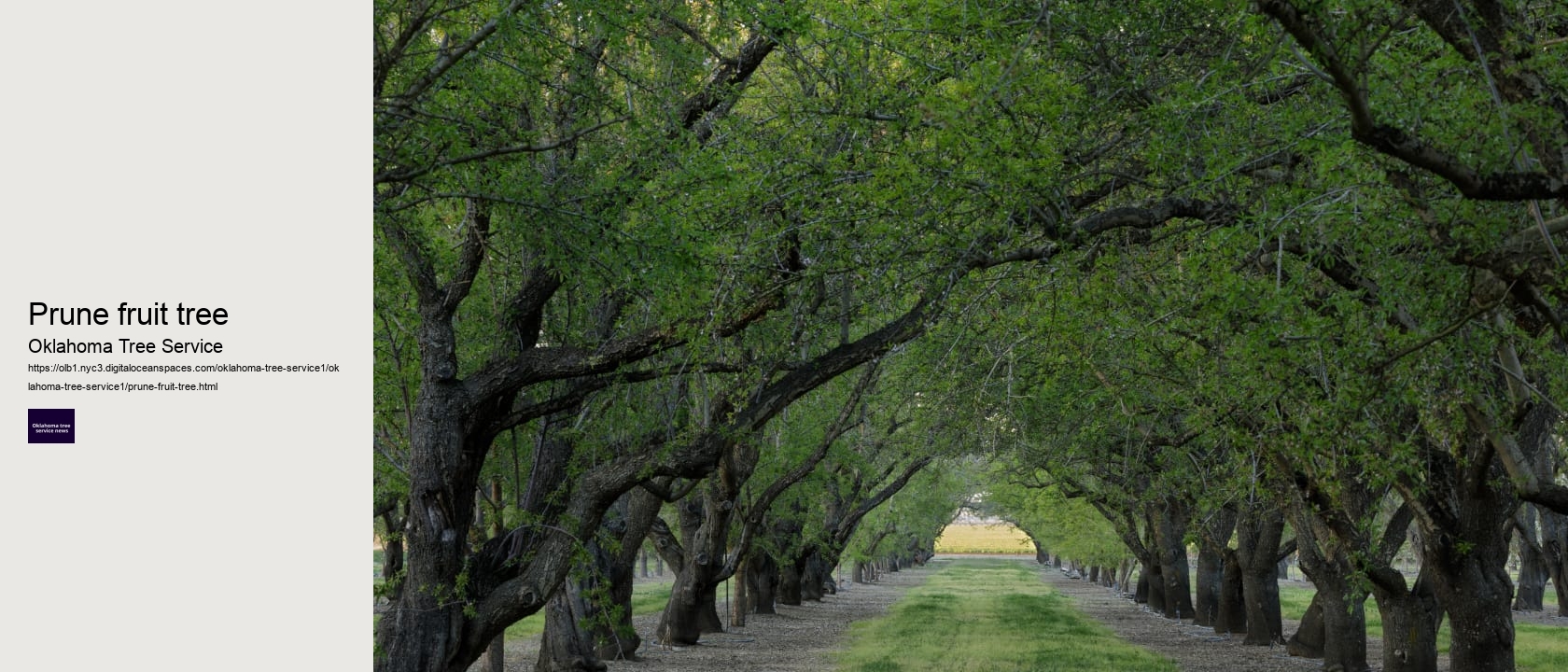 Prune fruit tree