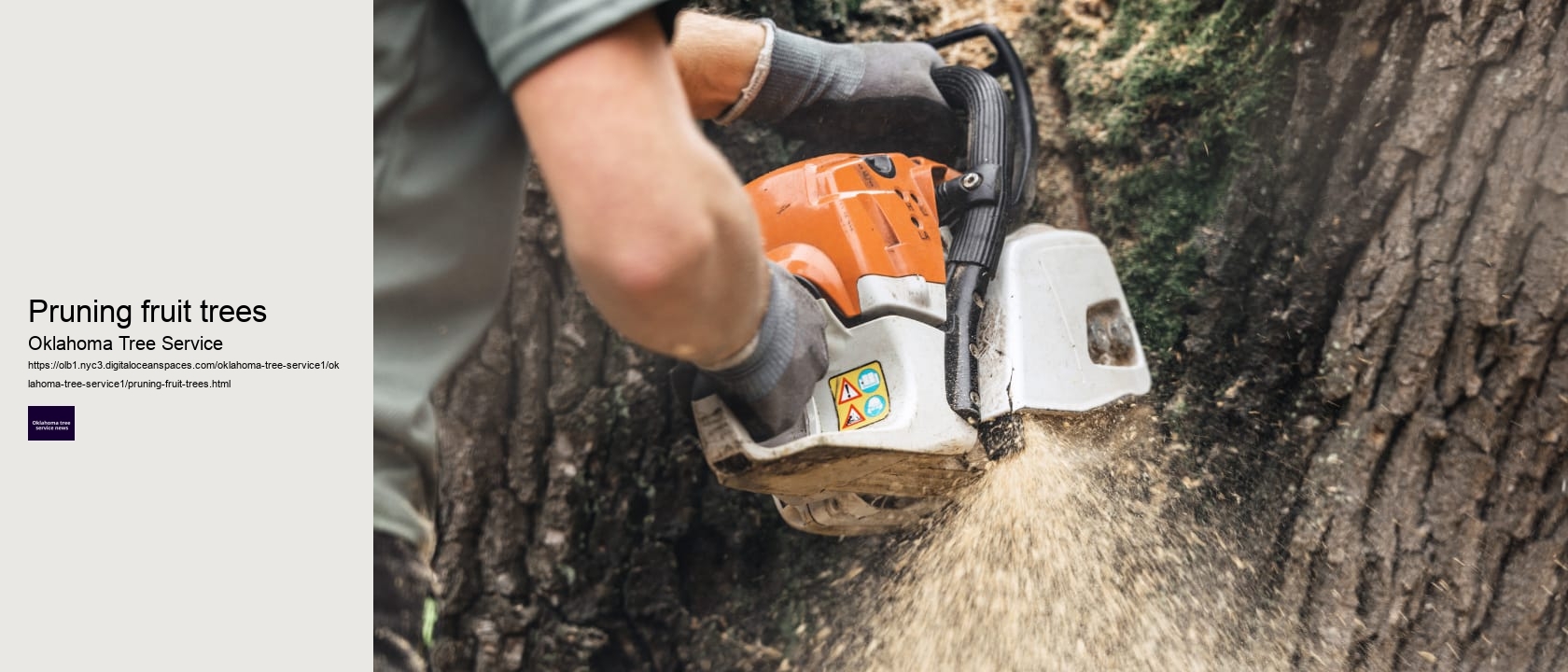 Pruning fruit trees