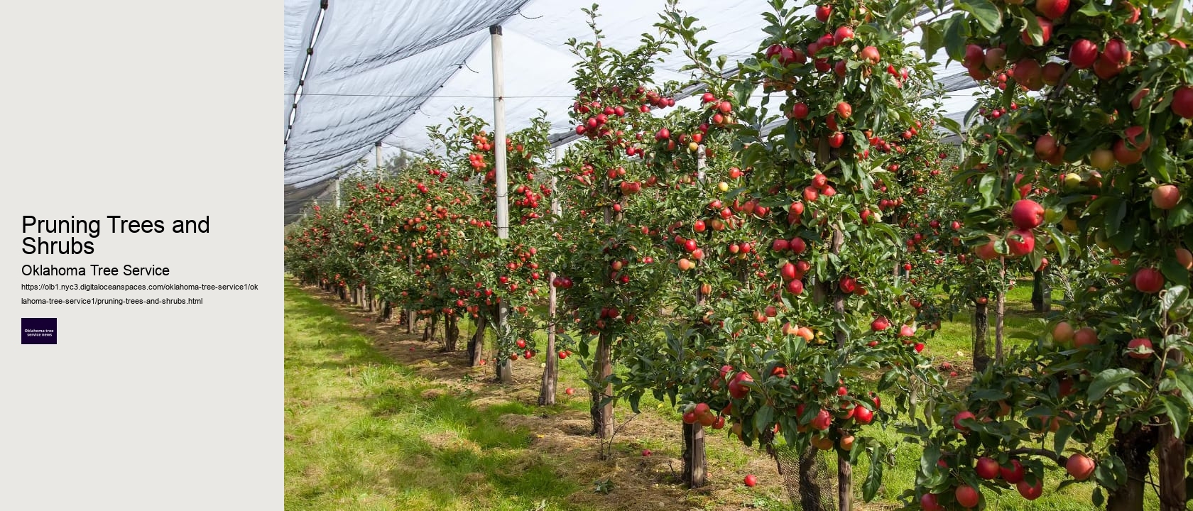 Pruning Trees and Shrubs