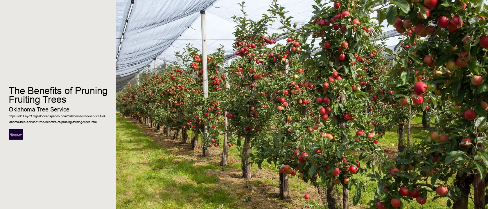 The Benefits of Pruning Fruiting Trees 