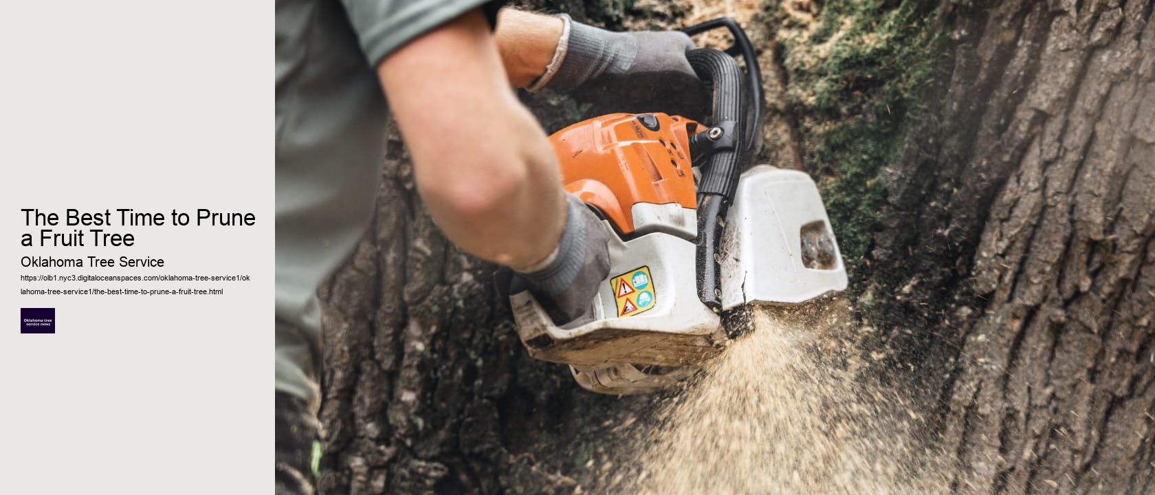 The Best Time to Prune a Fruit Tree 