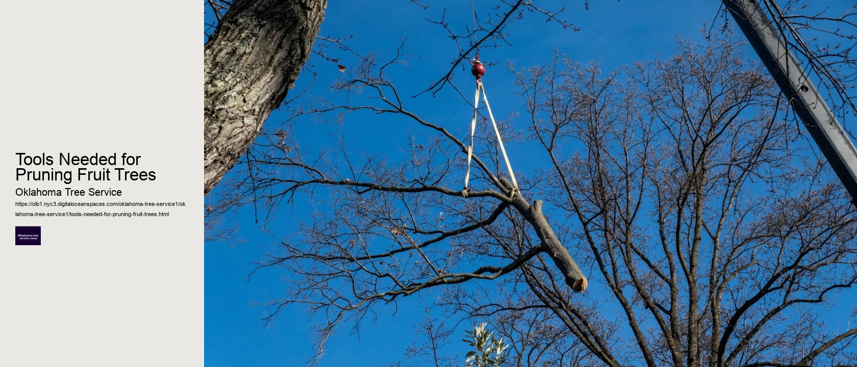 Tools Needed for Pruning Fruit Trees 