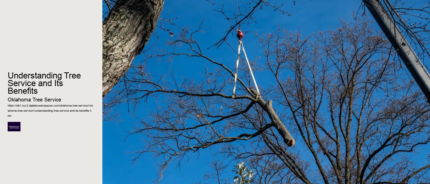 Understanding Tree Service and Its Benefits 