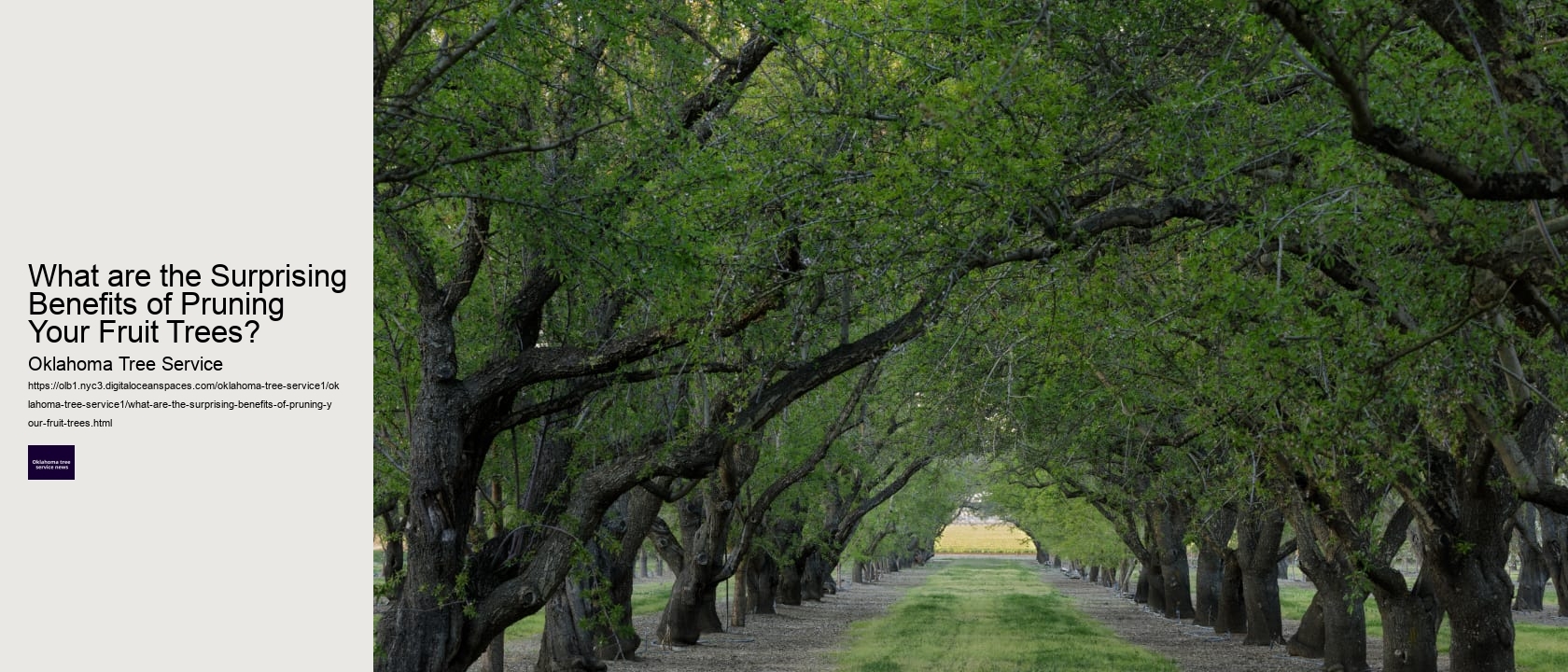 What are the Surprising Benefits of Pruning Your Fruit Trees? 