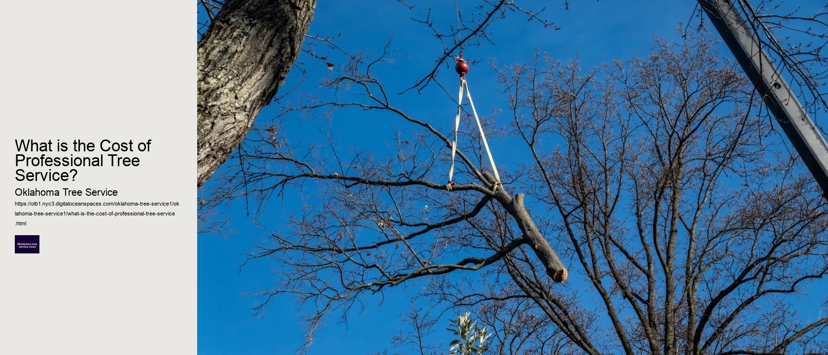 What is the Cost of Professional Tree Service? 