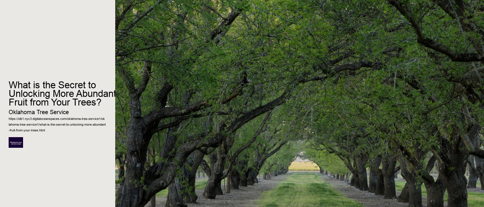 What is the Secret to Unlocking More Abundant Fruit from Your Trees? 