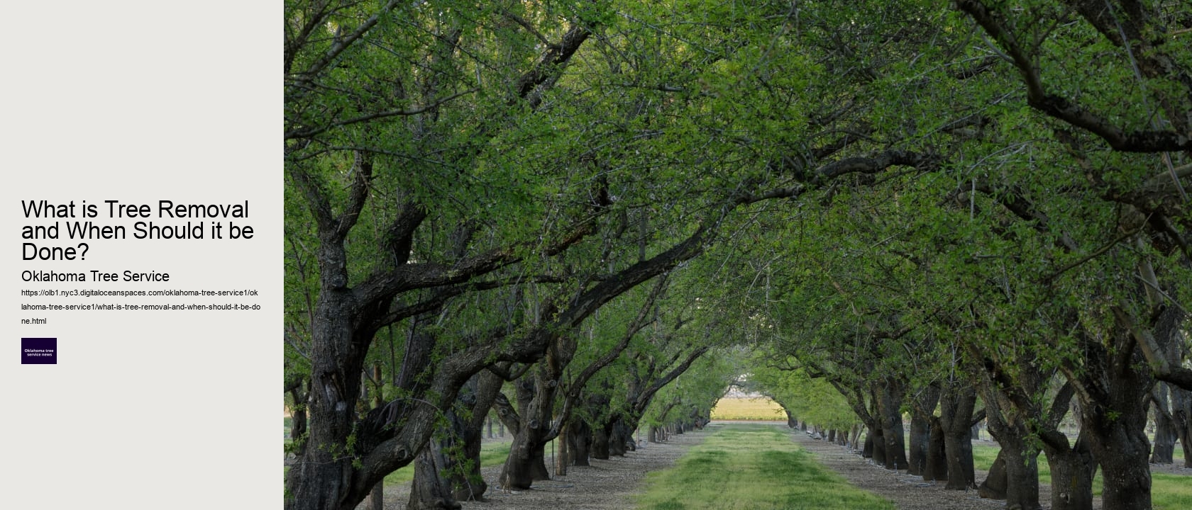 What is Tree Removal and When Should it be Done? 