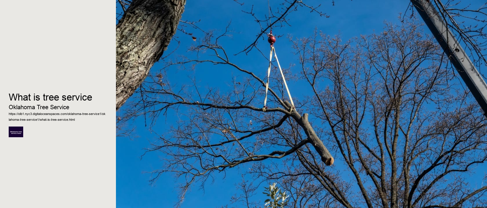 what is tree service