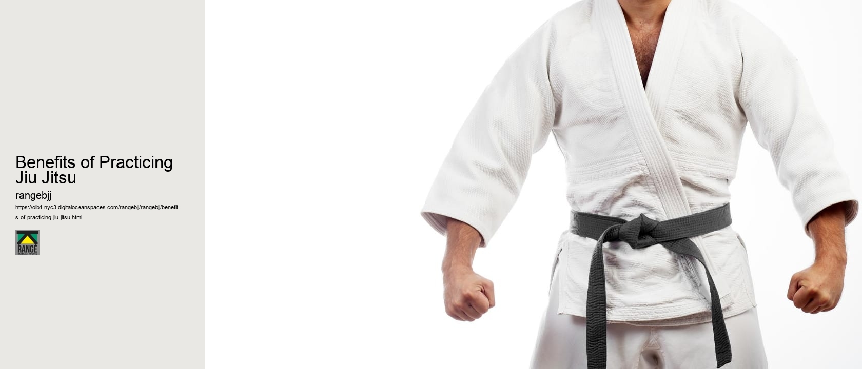 Benefits of Practicing Jiu Jitsu 