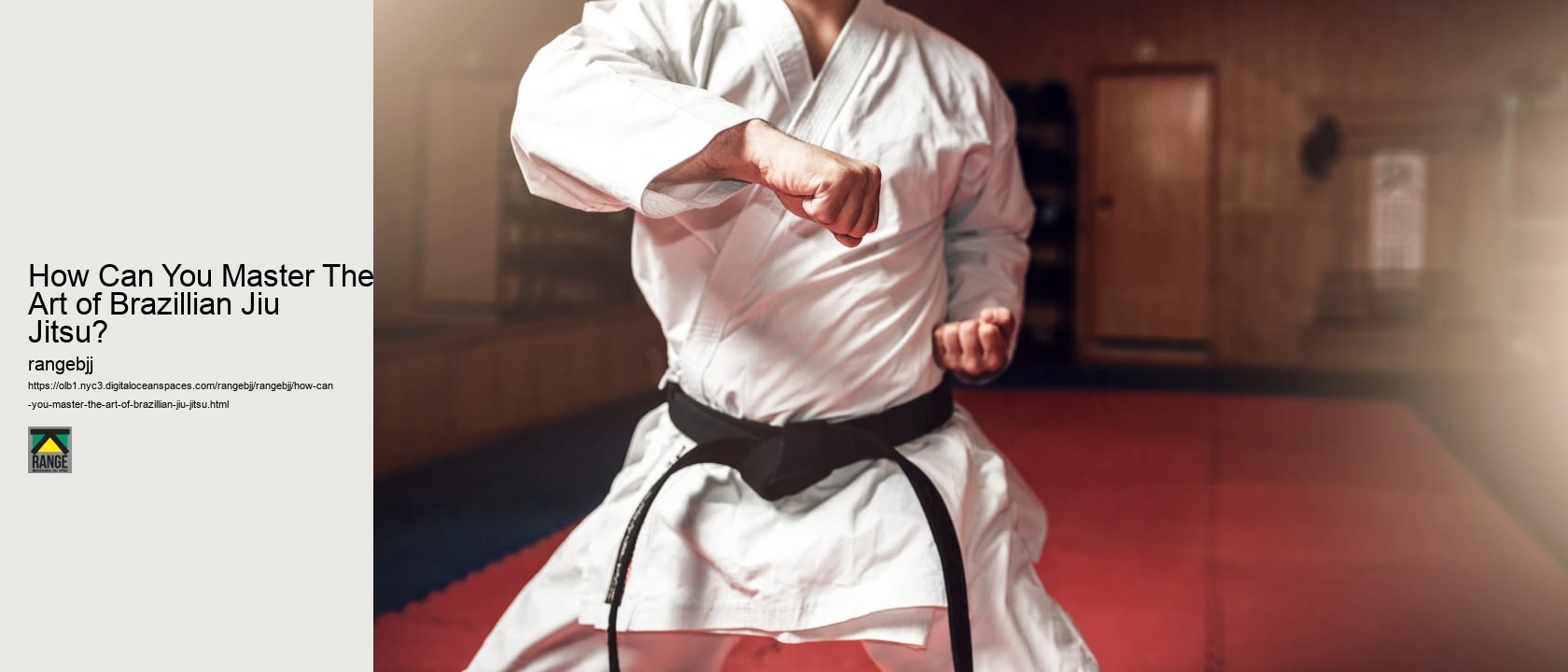 How Can You Master The Art of Brazillian Jiu Jitsu?