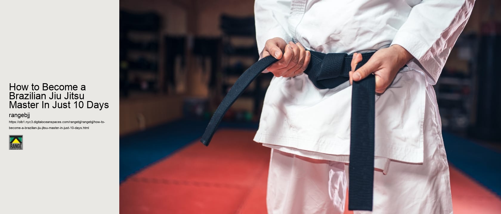 How to Become a Brazilian Jiu Jitsu Master In Just 10 Days
