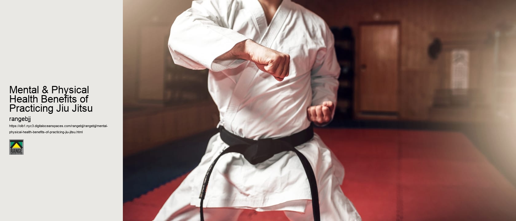 Mental & Physical Health Benefits of Practicing Jiu Jitsu 