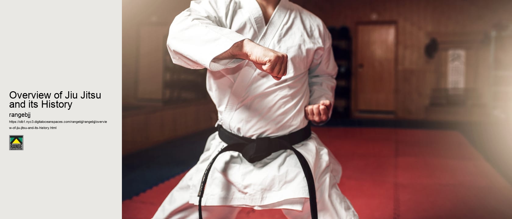 Overview of Jiu Jitsu and its History 
