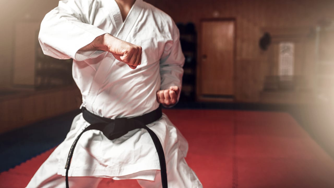 What Can You Learn from Training in Brazilian Jiu Jitsu? 