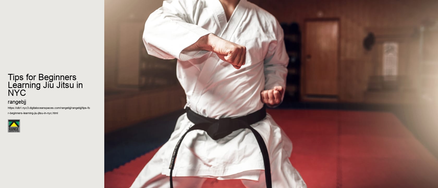Tips for Beginners Learning Jiu Jitsu in NYC 