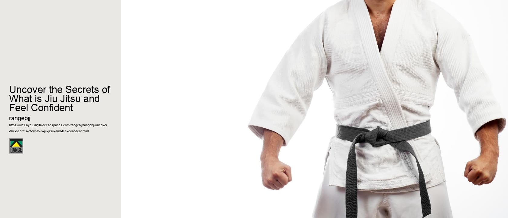 Uncover the Secrets of What is Jiu Jitsu and Feel Confident 