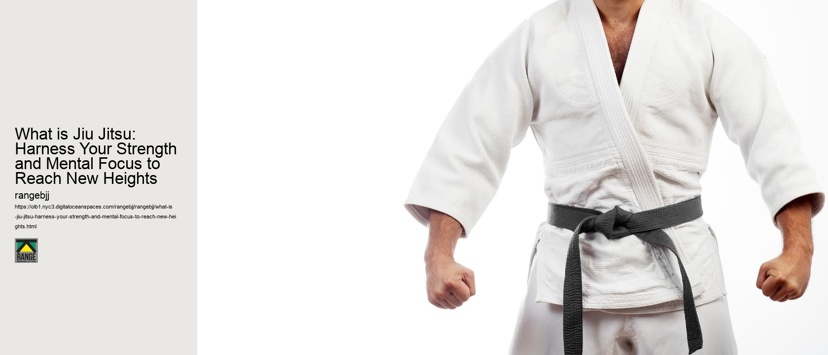 What is Jiu Jitsu: Harness Your Strength and Mental Focus to Reach New Heights 